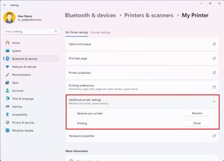 Additional Printer settings